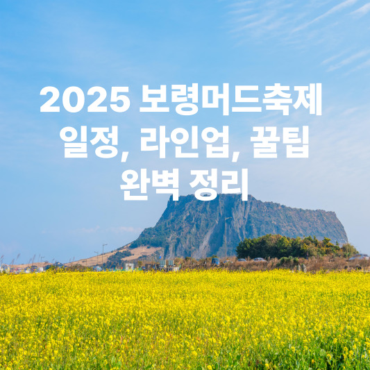 2025 보령머드축제 : 일정, 라인업, 꿀팁, 완벽 정리
