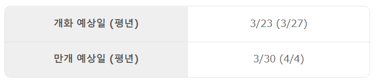 오사카 벚꽃 개화시기