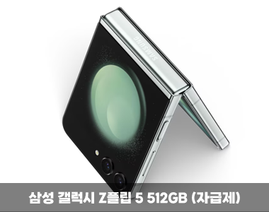 코리아세일페스타 삼성전자 품목