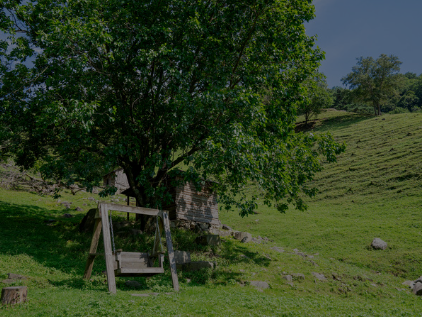 하늘마루 염소 목장 체험 안내 