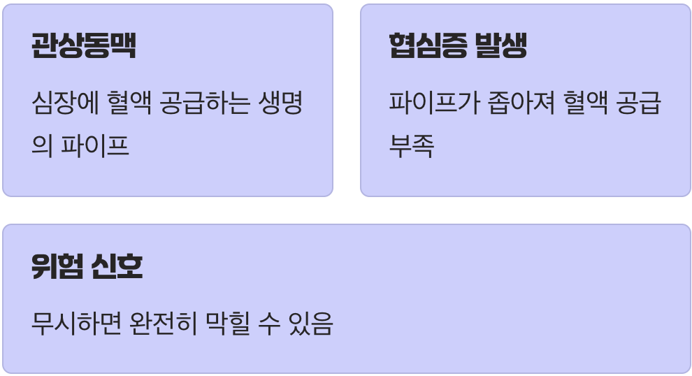 우리 몸의 엔진, 심장의 연료 파이프