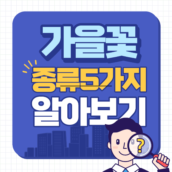가을꽃 종류 5가지