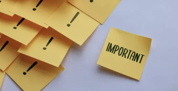 미래 예측보다 현재 중심 교육: 아이의 지금을 살아내게 돕기