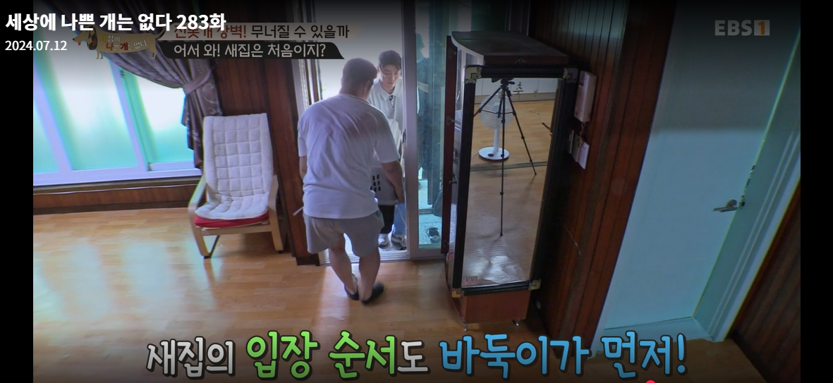 설채현-세상에나쁜개는없다-세나개-283화-진돗개장벽-재방송