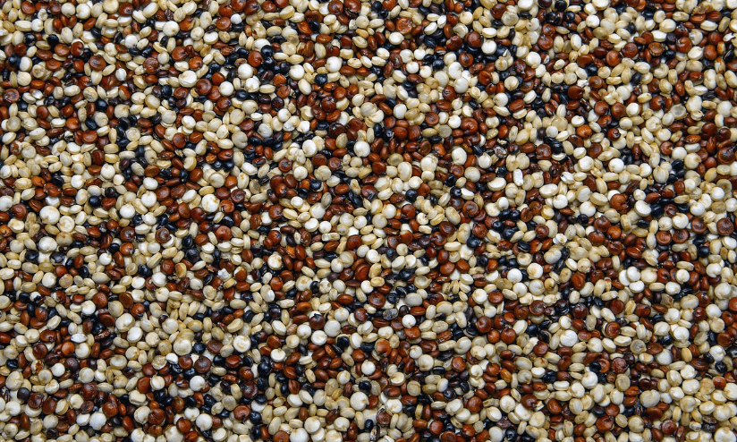 근감소증에 좋은 음식 관련 사진9