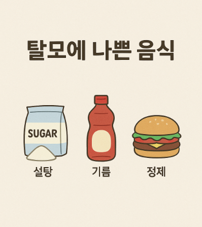 탈모에 나쁜 음식