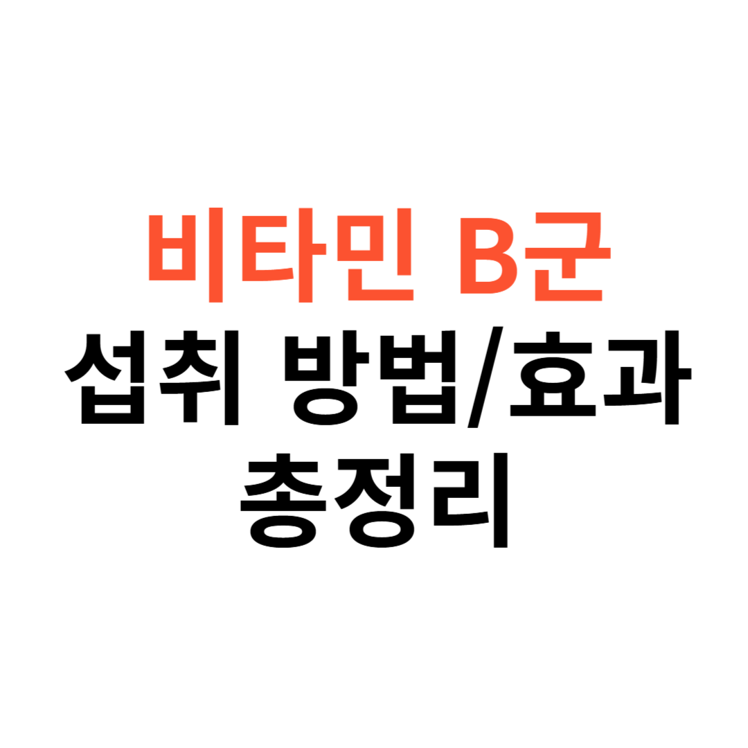 비타민 B군에 대한 모든 것 섭취 방법