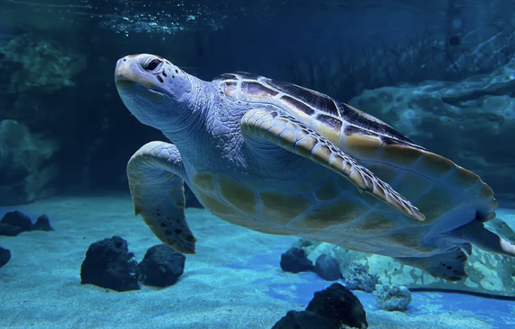 비 오는 날 서울 실내 명소 추천: 폭우에도 즐기는 도심 속 힐링 공간