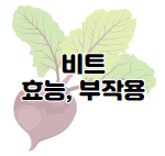 양배추 효능 및 부작용과 고르는 법&#44; 보관법&#44; 찌는 법