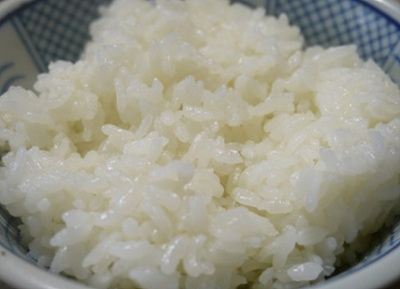 파바빈 밥 사진