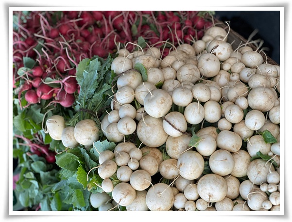 "김장 무, 직접 길러보세요!" 초보자도 성공할 수 있는 쉬운 재배 가이드!