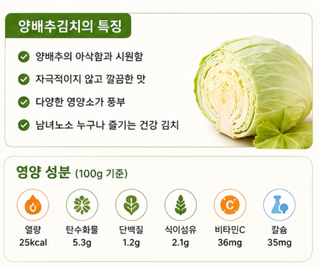 양배추백김치이미지