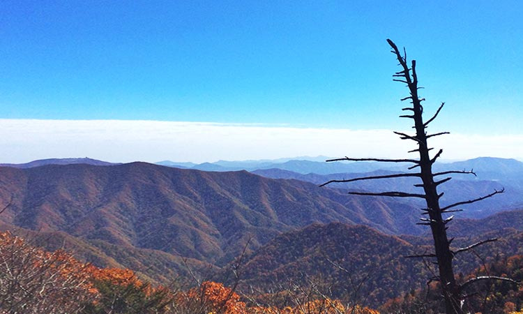오대산 등산코스 추천 및 등산지도