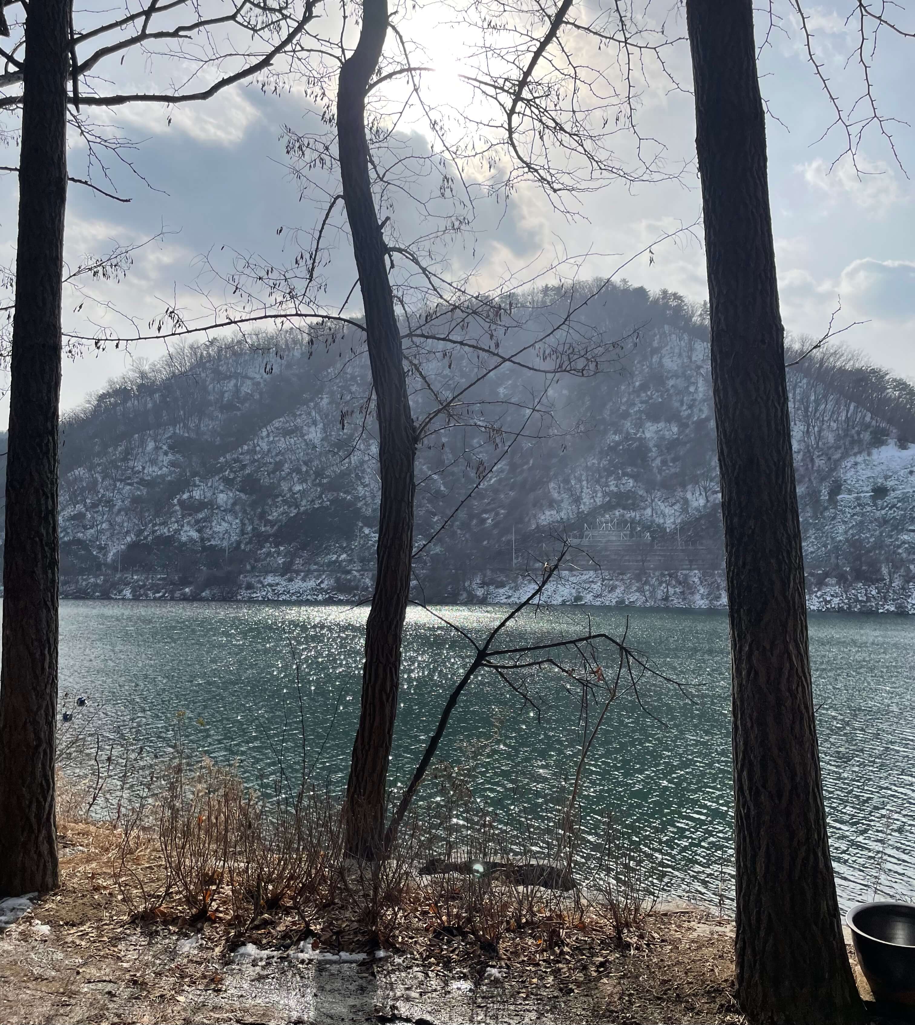 남이섬-풍경