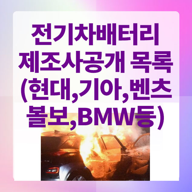 전기차배터리