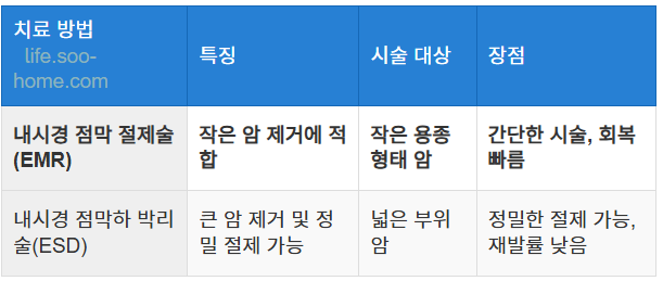 내시경 절제술의 종류와 과정