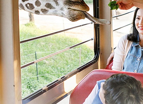 용인 가볼만한곳 이미지 입니다.