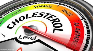 콜레스테롤 오메가3