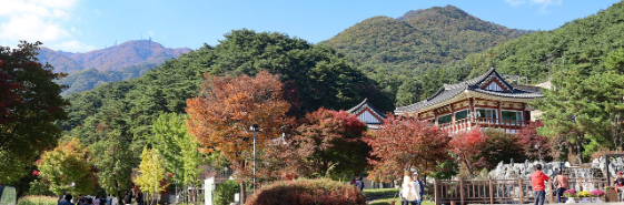 가평 가볼만한곳