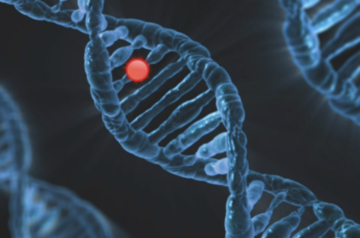 유전자 조작 없이도 작물을 개량할 수 있을까? 자연육종 vs. 생명공학