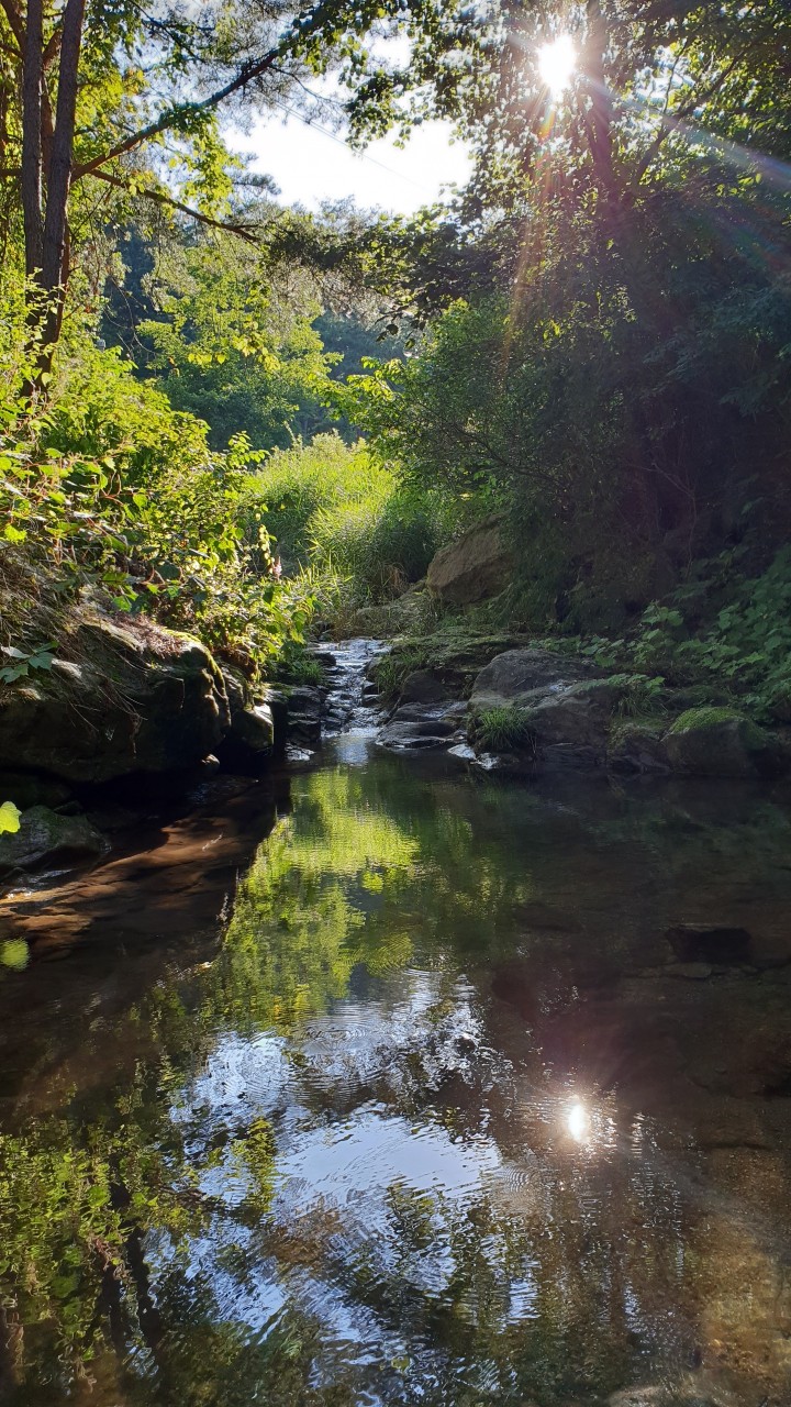 강원도-영월-캠핑장-숲속의-작은집
