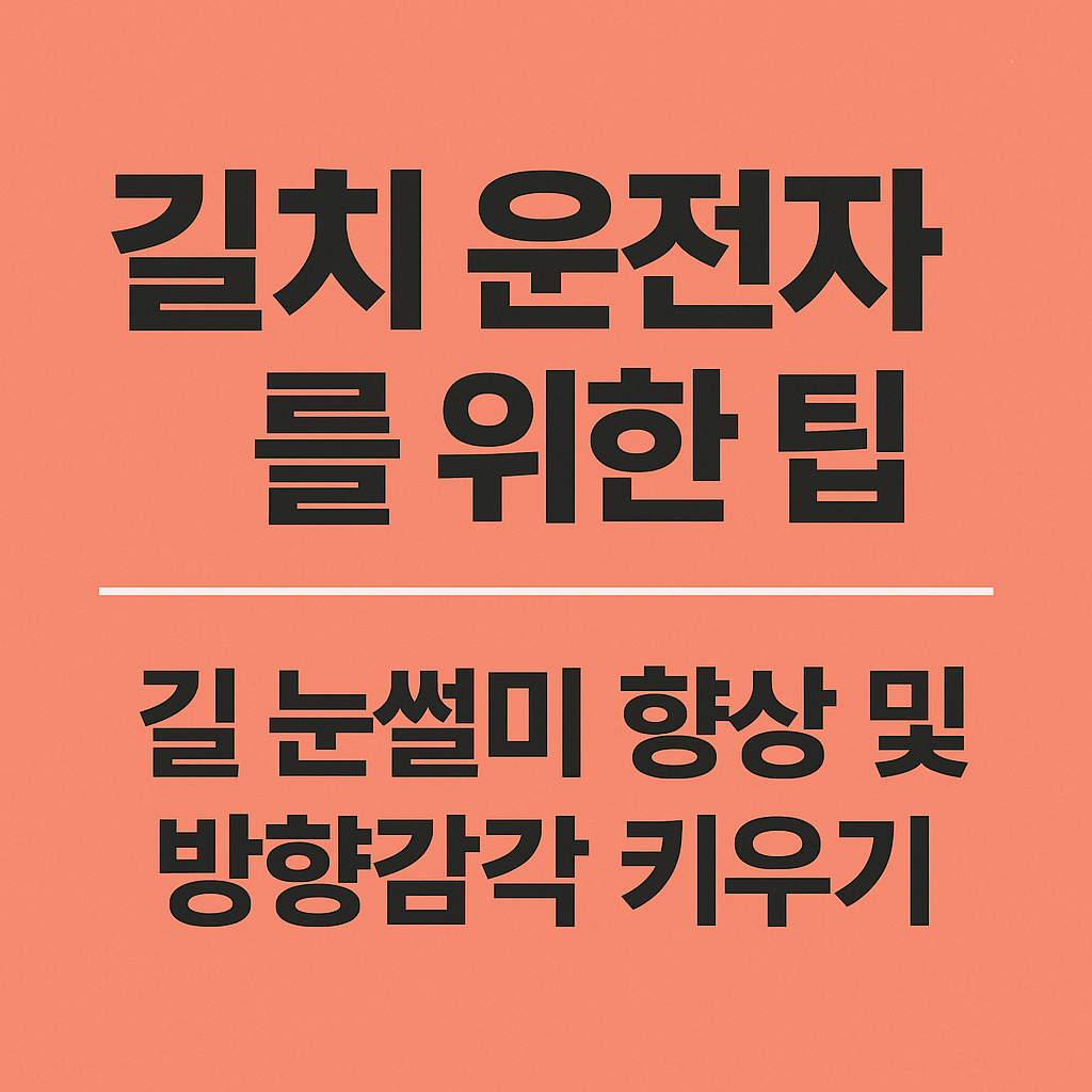길치 운전자를 위한 팁: 길 눈썰미 향상 및 방향감각 키우기