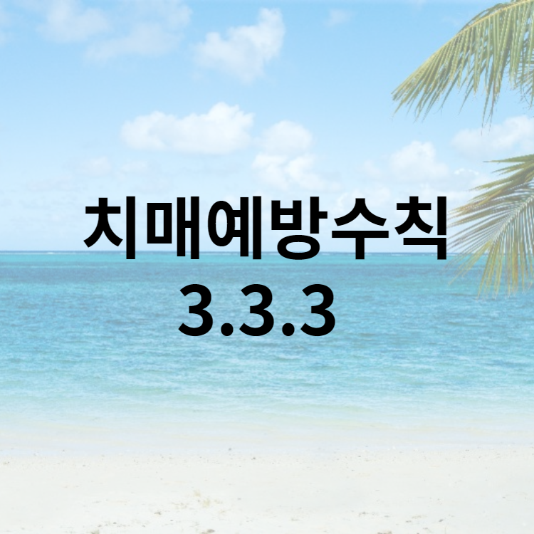 치매예방수칙3.3.3.