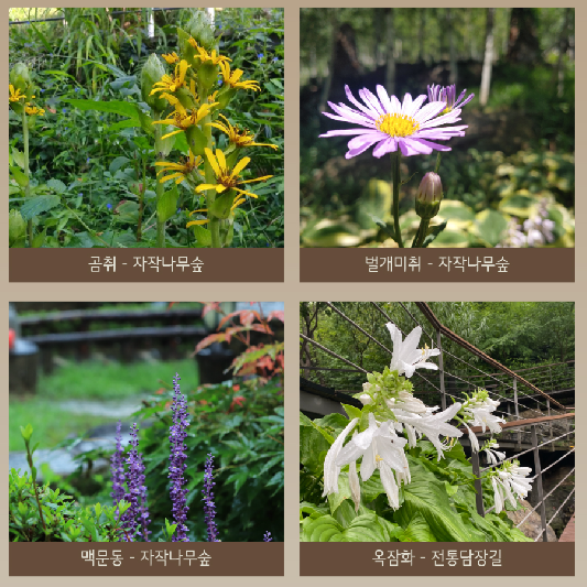 출처 : 화담숲 홈페이지19