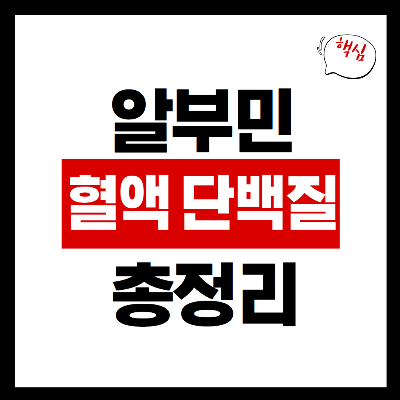 알부민