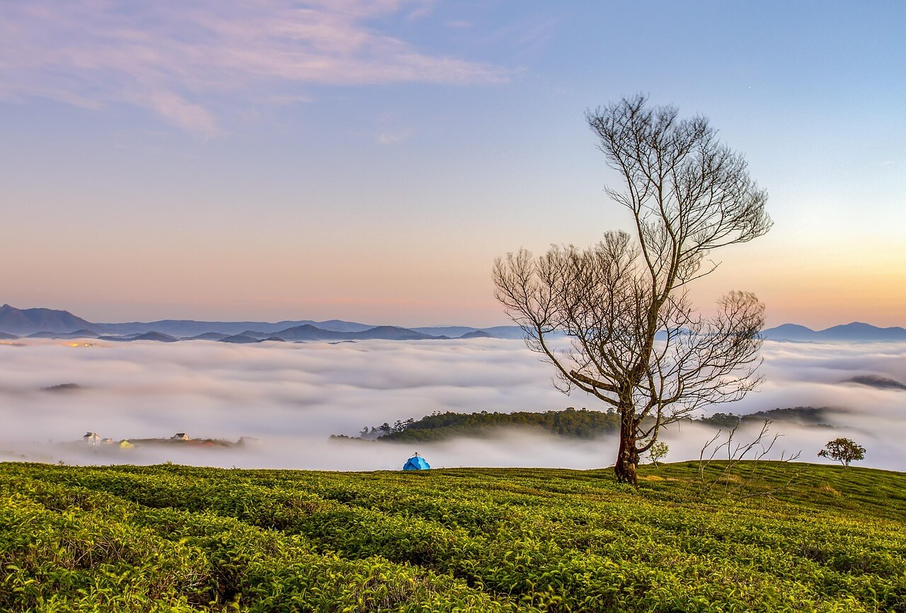 눈밑이 떨리는 증상, 원인과 대처법 알아보기