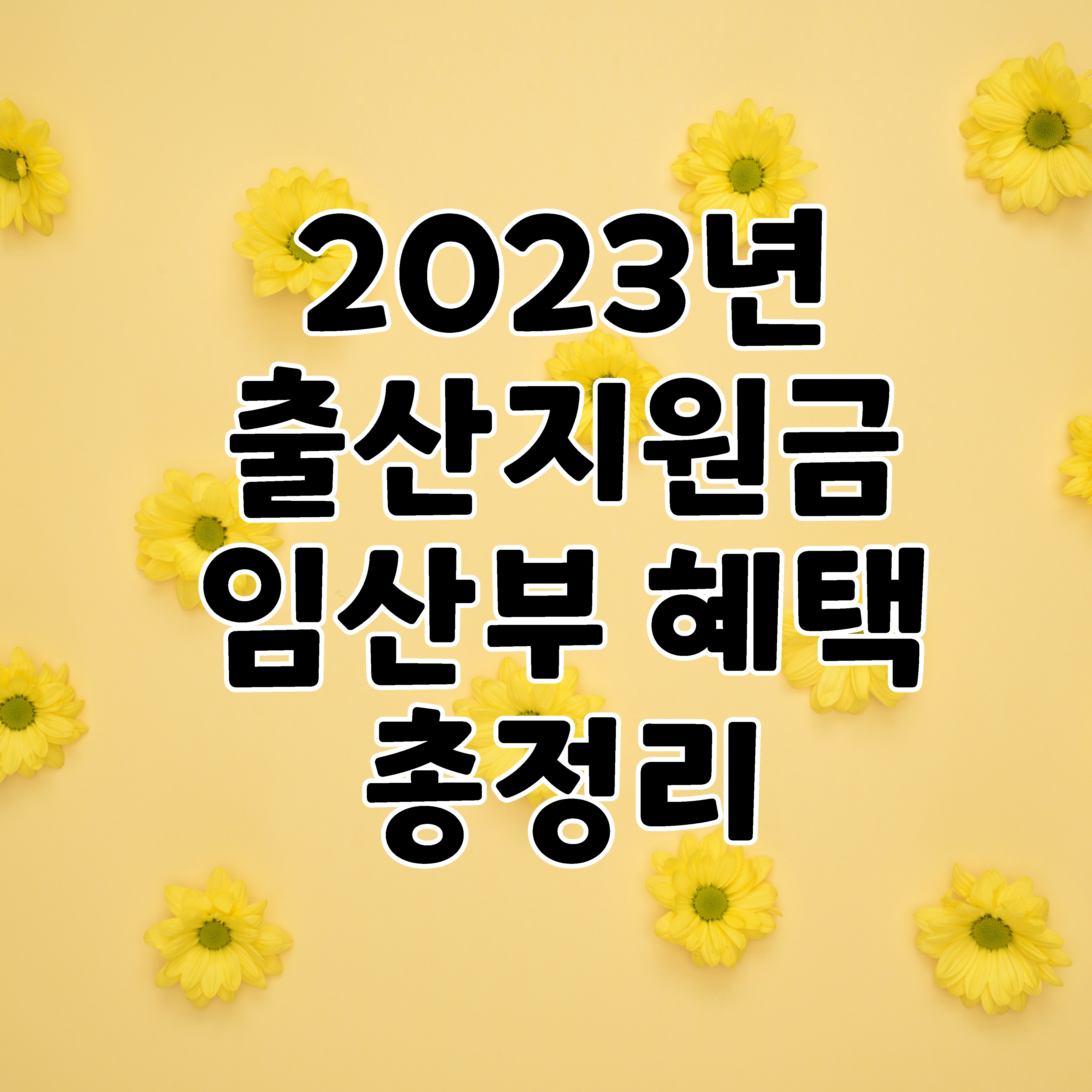 2023년 출산지원금