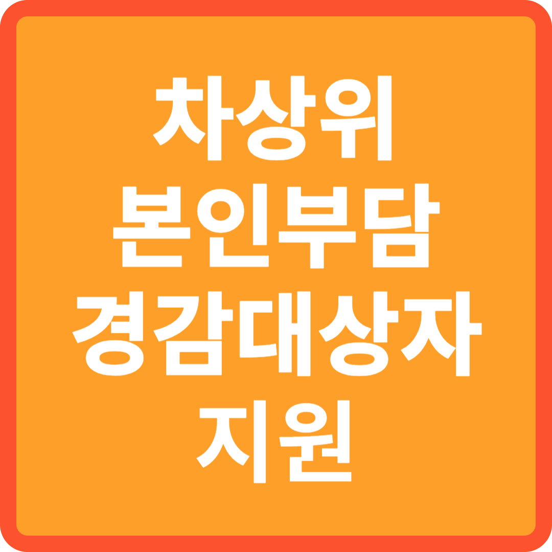 차상위본인부담경감대상자 지원