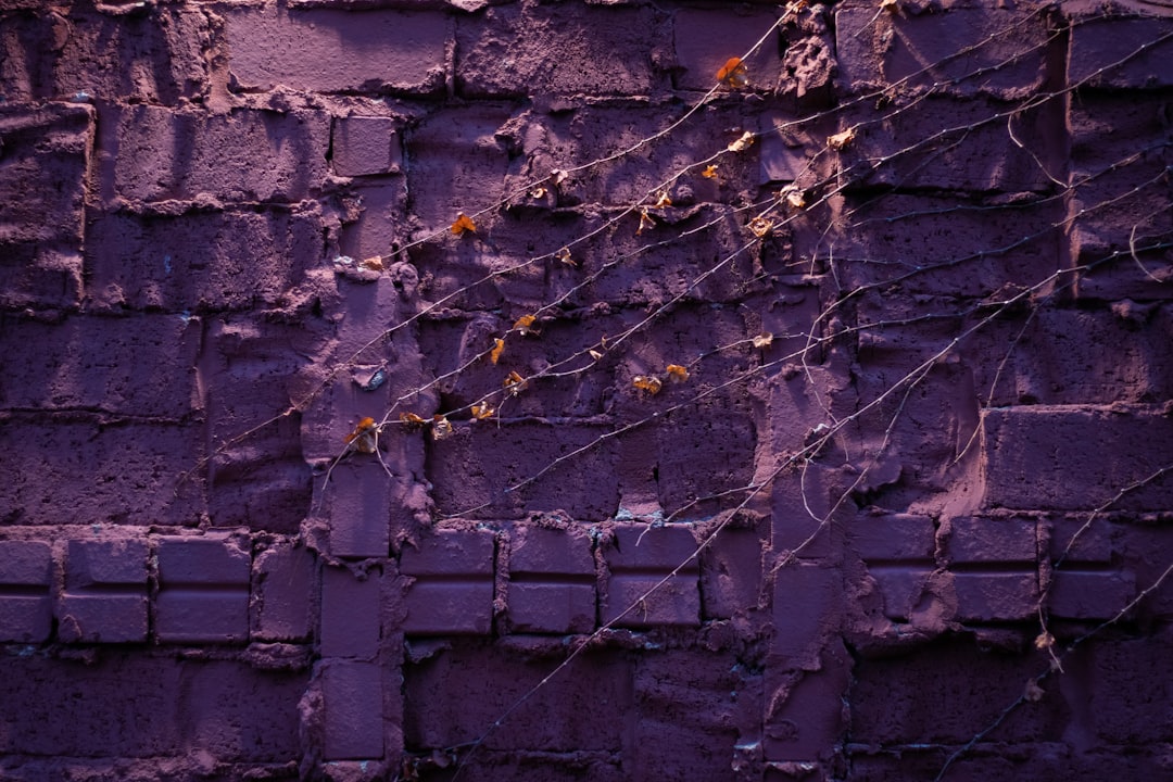'Wallpaper'
