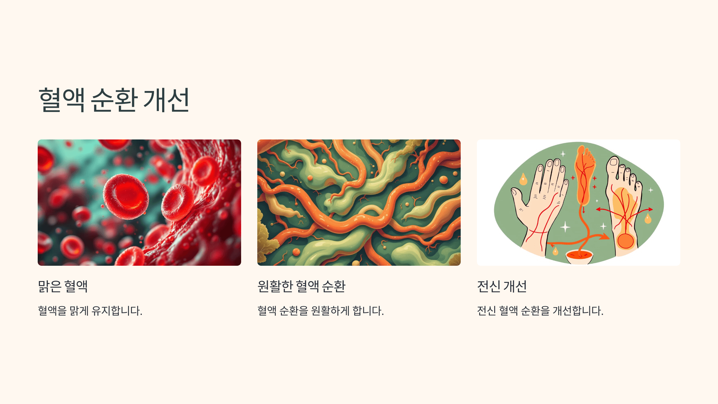 새싹보리 사진입니다.