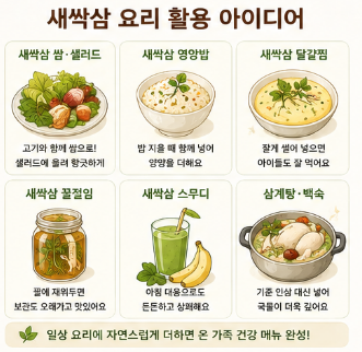 새싹삼-효능-먹는방법-요리-종류-아기-임산부