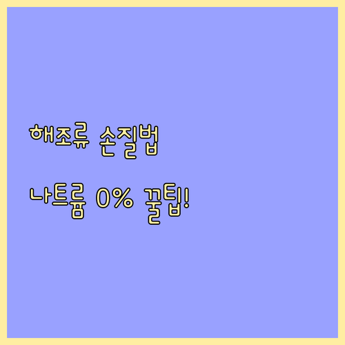 해조류 다이어트 성공을 위한 손질법과..