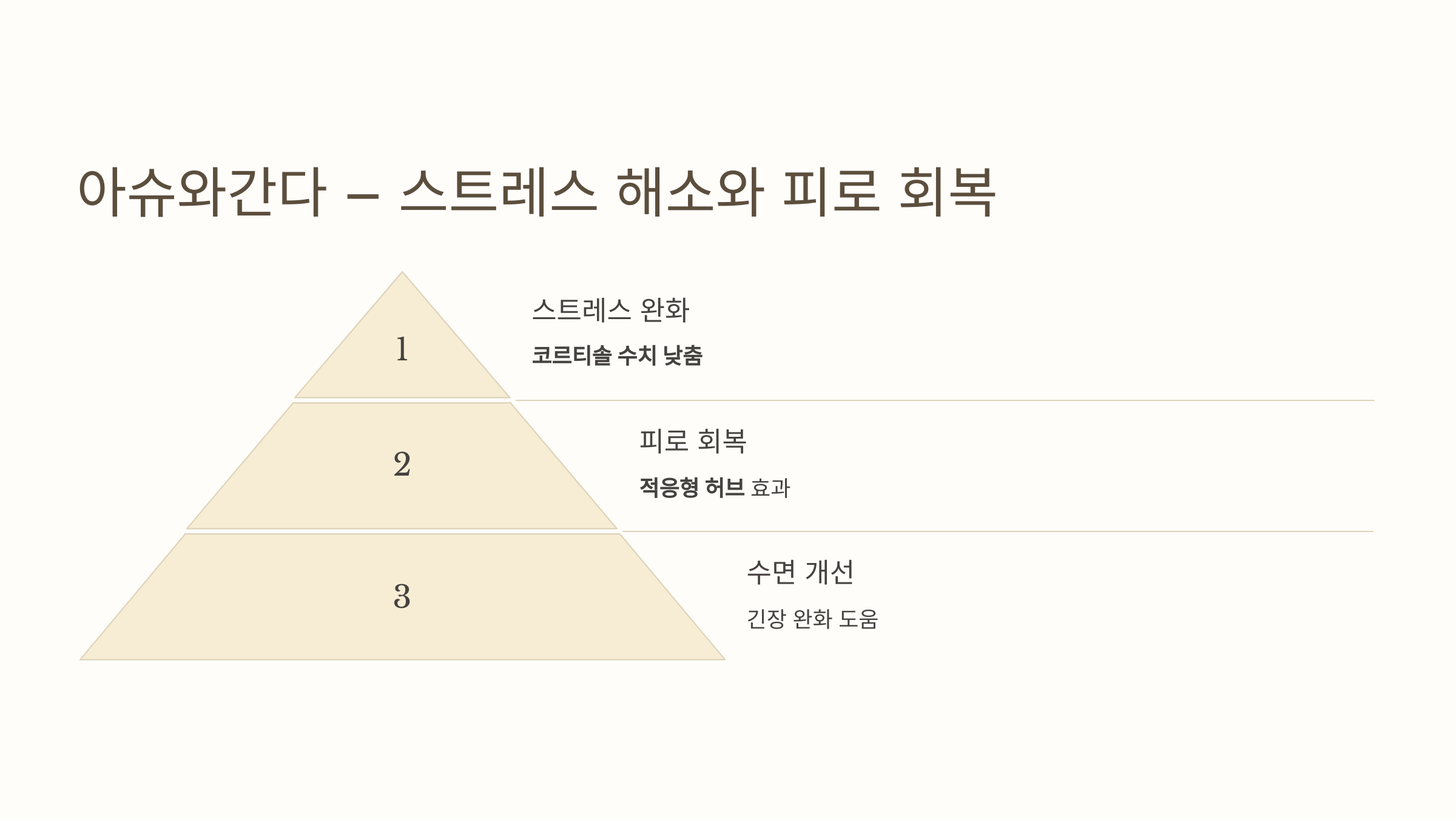 아슈와간다 관련 이미지