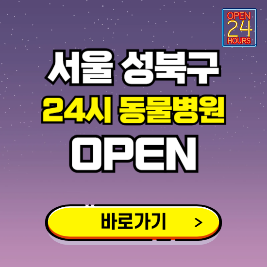 서울 성북구 24시 동물병원 진료하는 곳 ❘ 설날 휴일 야간 심야 문여는곳 찾기 ❘ 응급진료