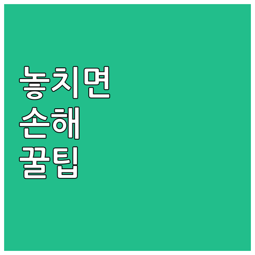 블랙박스 화질 선택 가이드 예산, 기