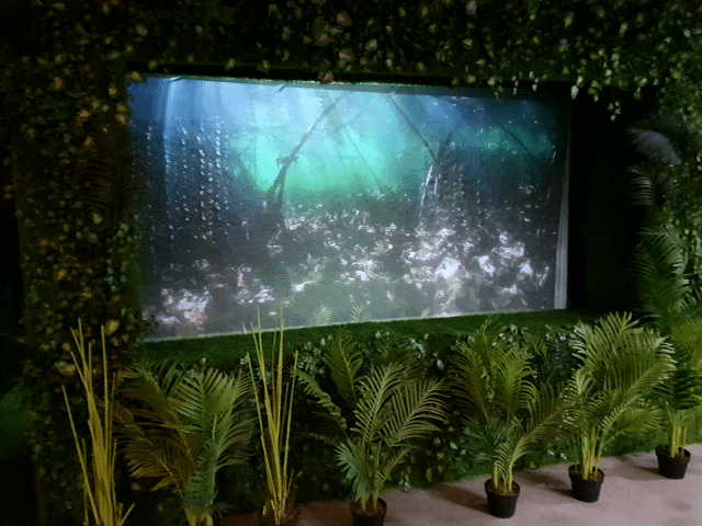 익산 다이노 키즈월드 홀로그램 포토존2