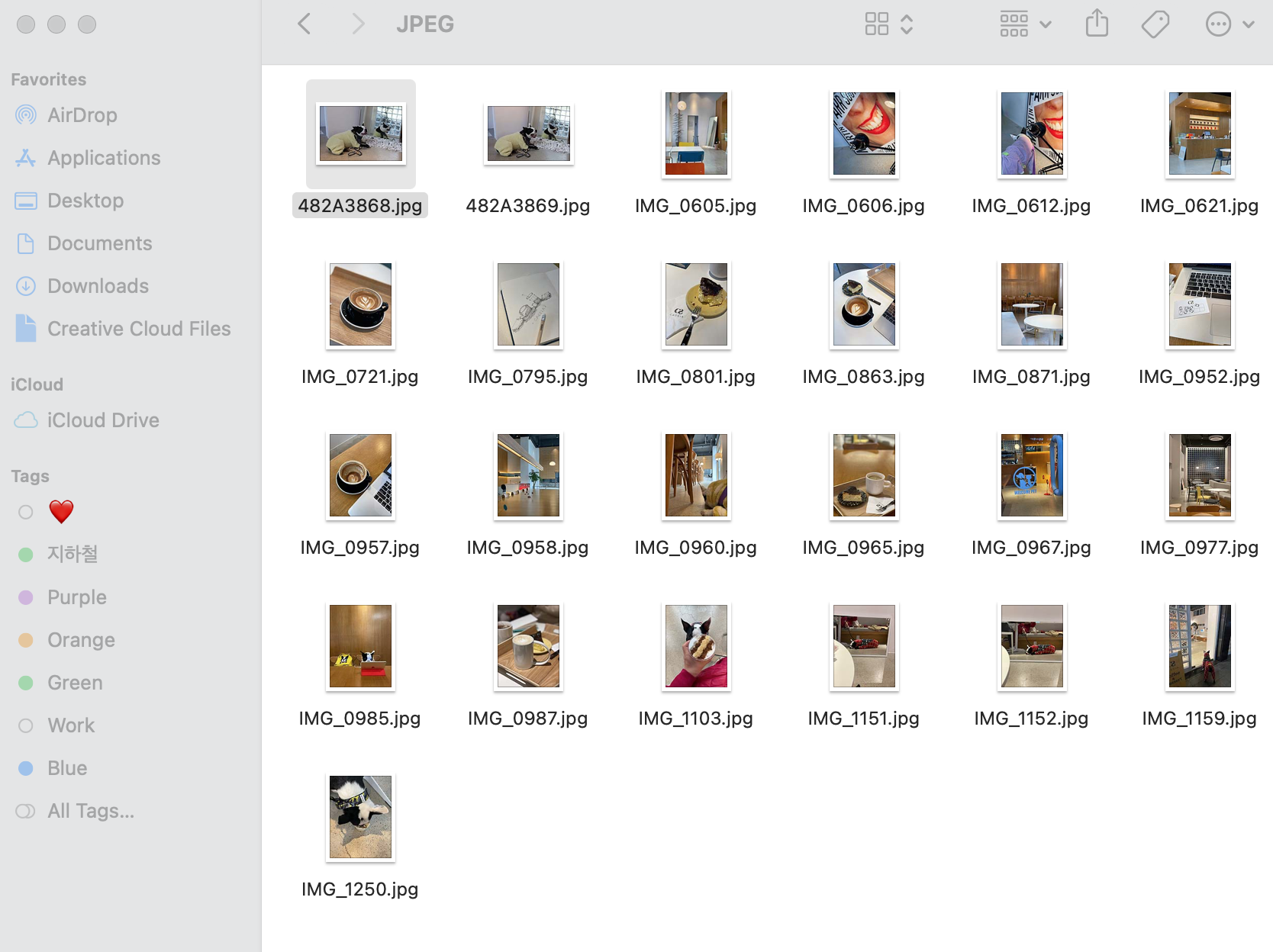 리사이징된 사진들