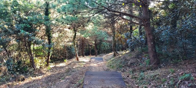 지미봉-등산중-아래-계단