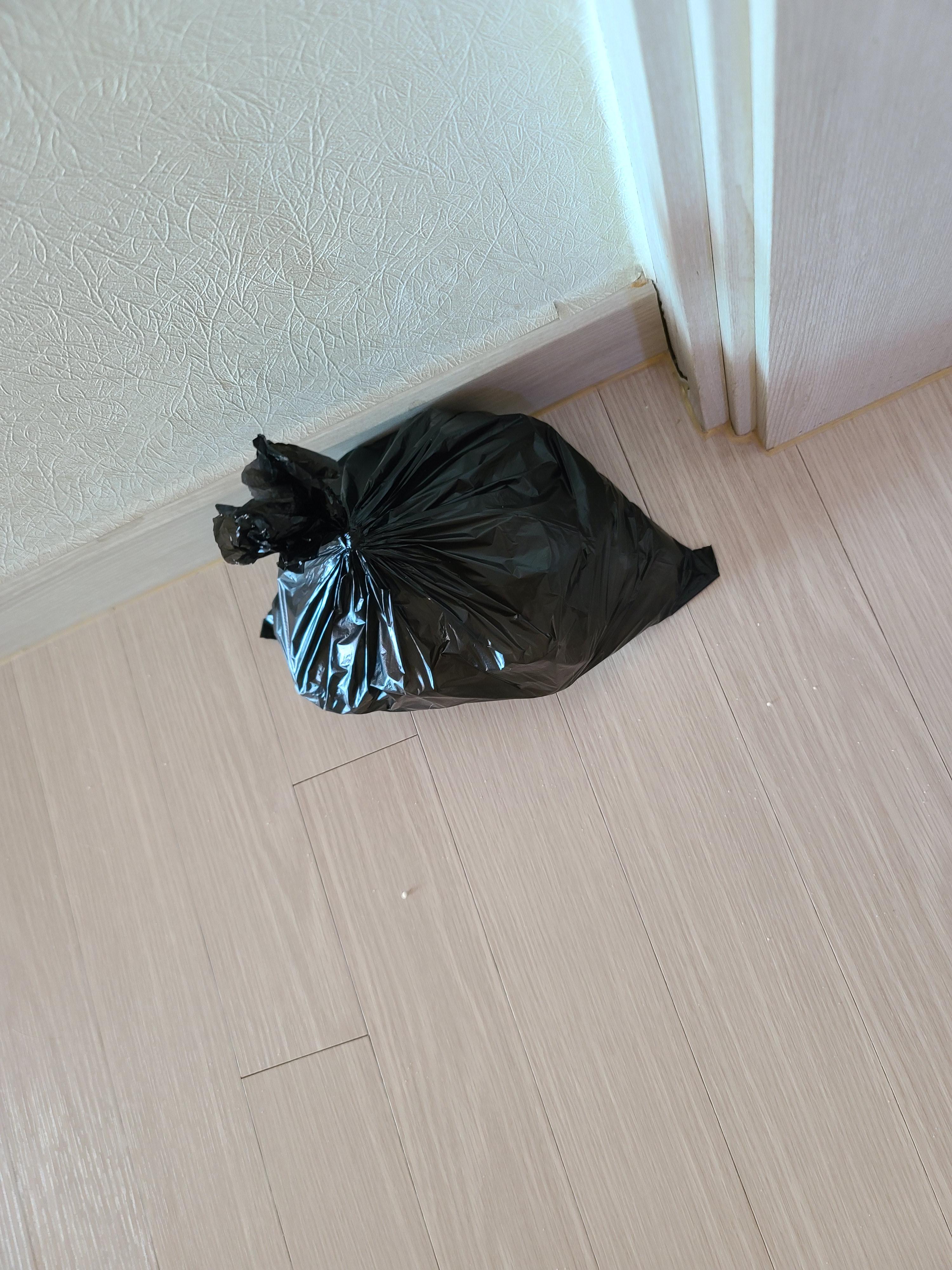 9냥이 집사의 눈뜨면 하는 일들.