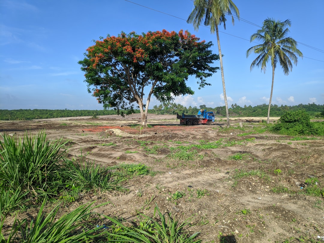 Land 거래 (Land transaction)