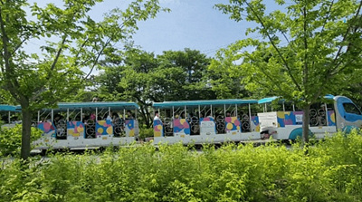 코끼리열차 사진