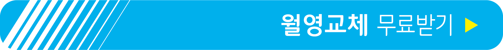 월영교체 무료 받기