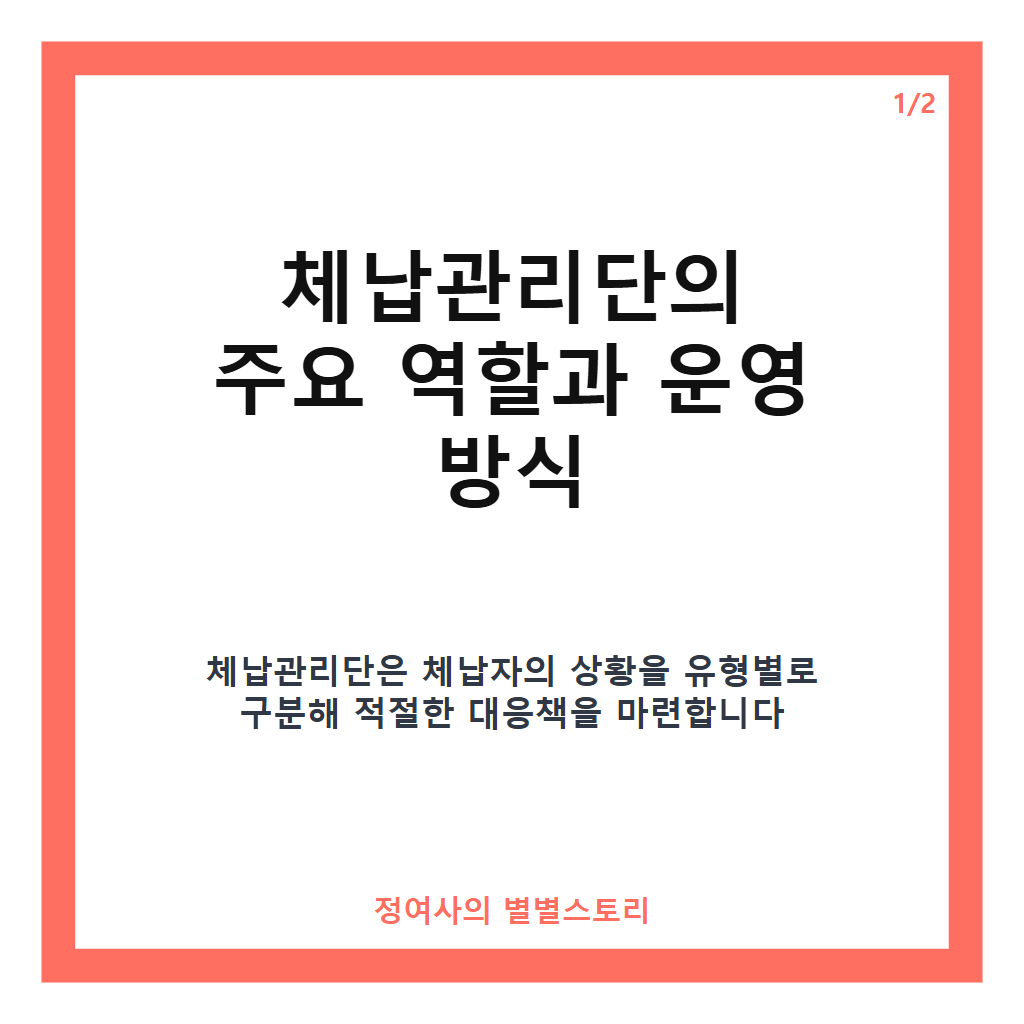 체납관리단의 역할과 운영 방식: 맞춤형 징수와 복지 연계 전략 총정리 카드뉴스 1