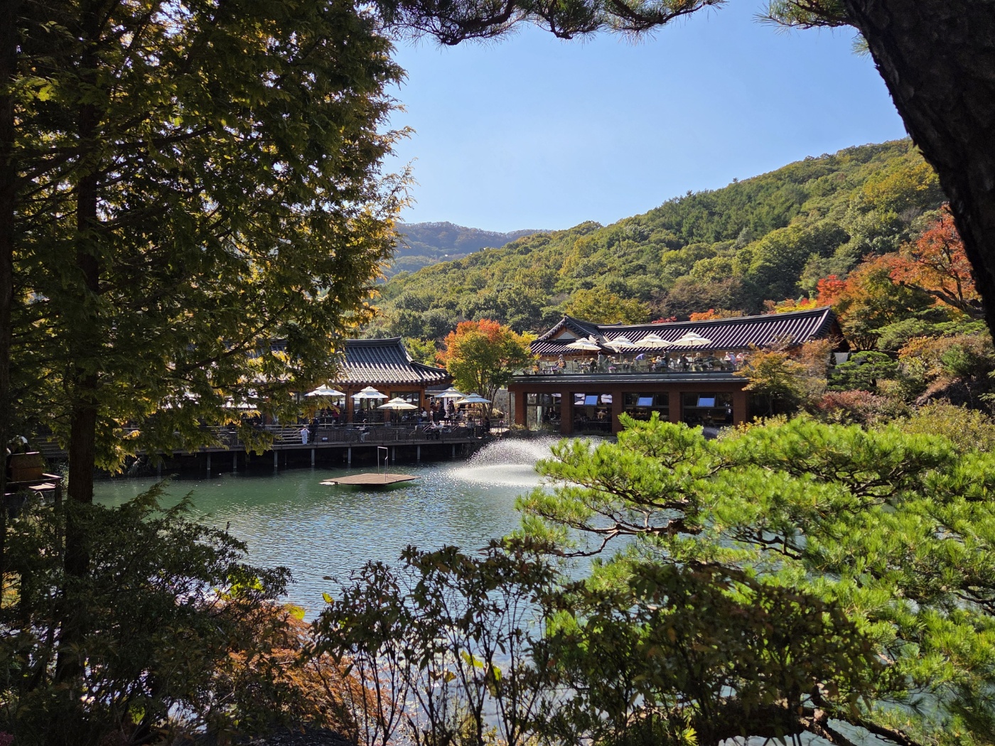 화담숲 연못 위 한옥카페와 단풍이 어우러진 풍경