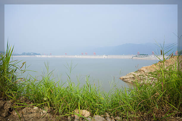 제주 올레길 7코스 미리보기: 제주 자연의 진수를 느끼는 해안 트레킹