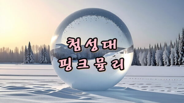 경주 첨성대 핑크뮬리와 해바라기 가을 꽃밭 여행 썸네일